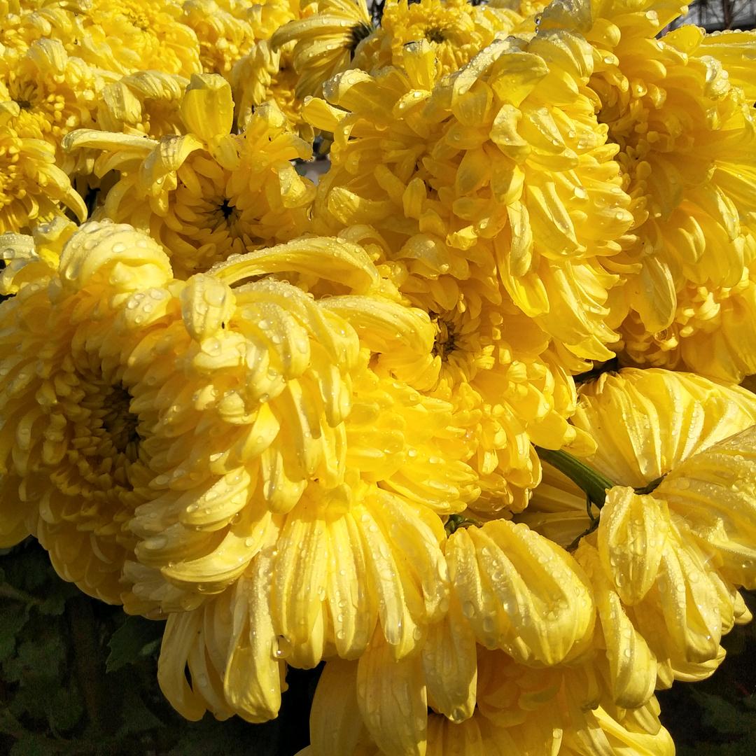 @荣光辉