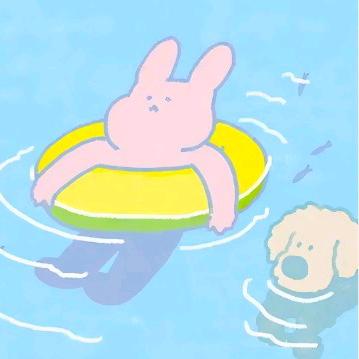 山茶花读不懂白玫瑰