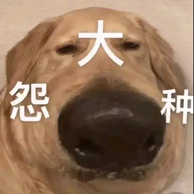 不可描述