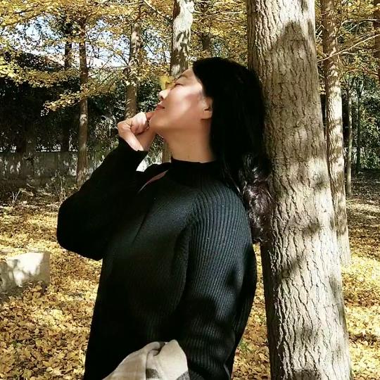 岁月如歌🌻
