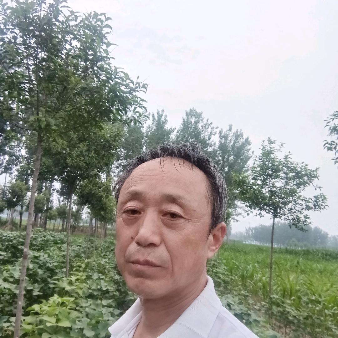 梦想的我888