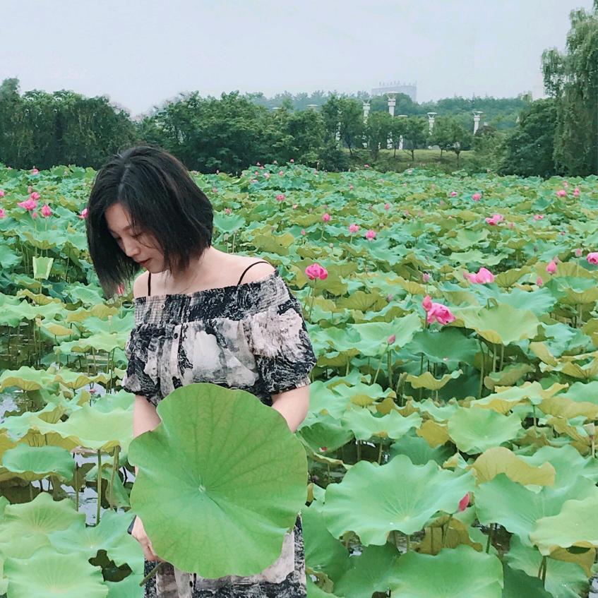 涩蝶飞