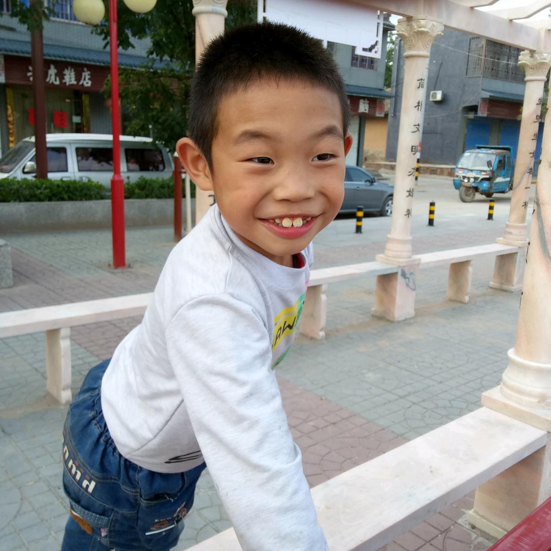 老马