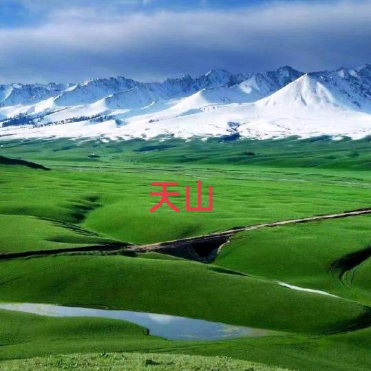 天山来客（侯哥）