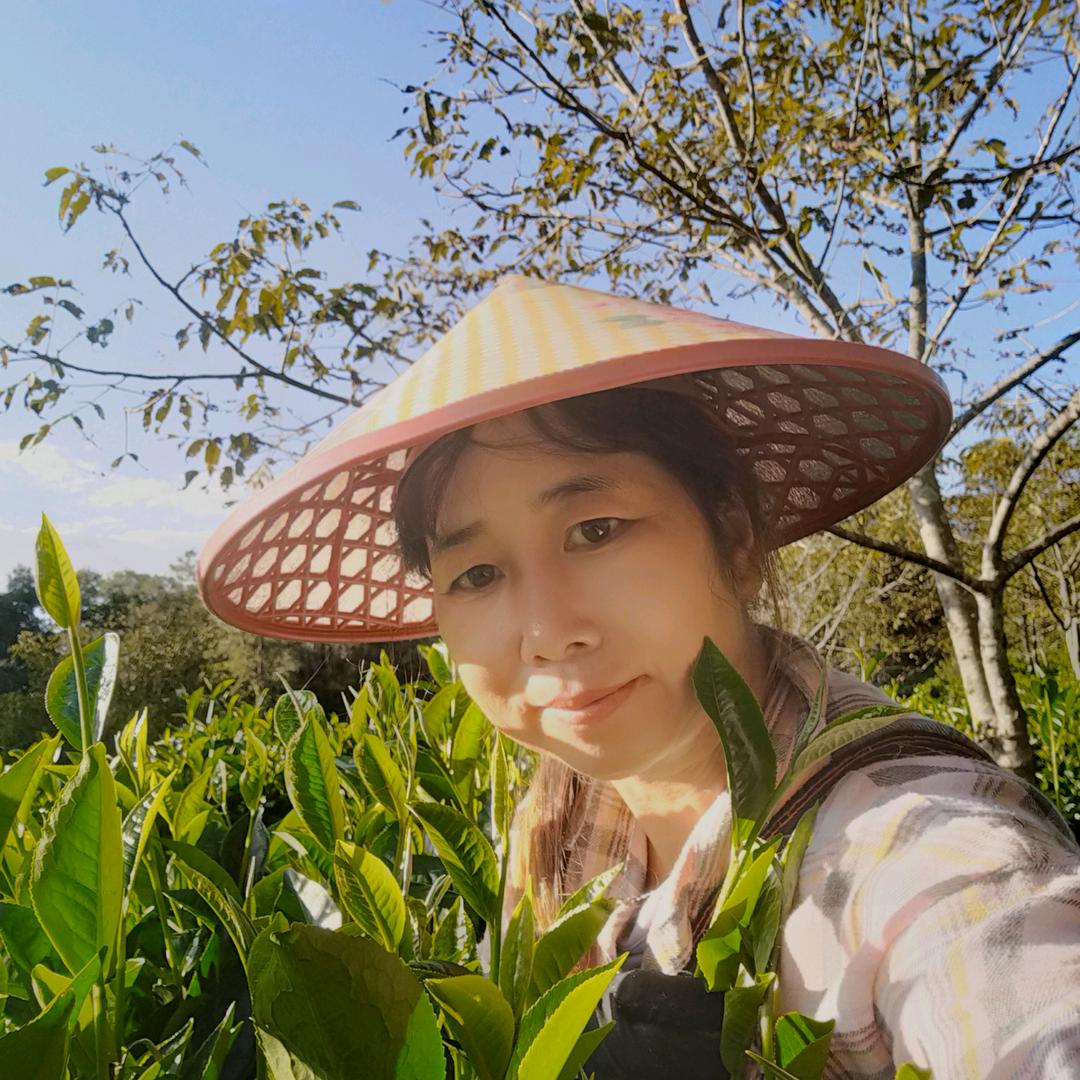 云南四姐在农村