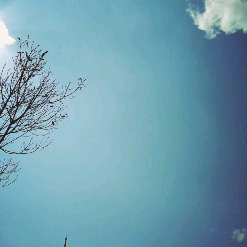 夏金萍