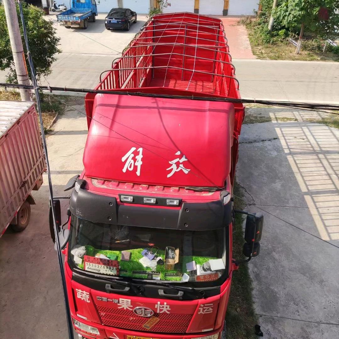 恋购健康果园产地直销专用号