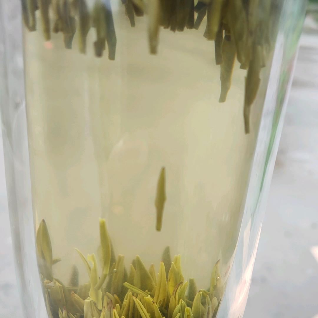 大宝