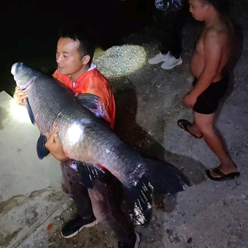 🌈小杨爱钓鱼🌈