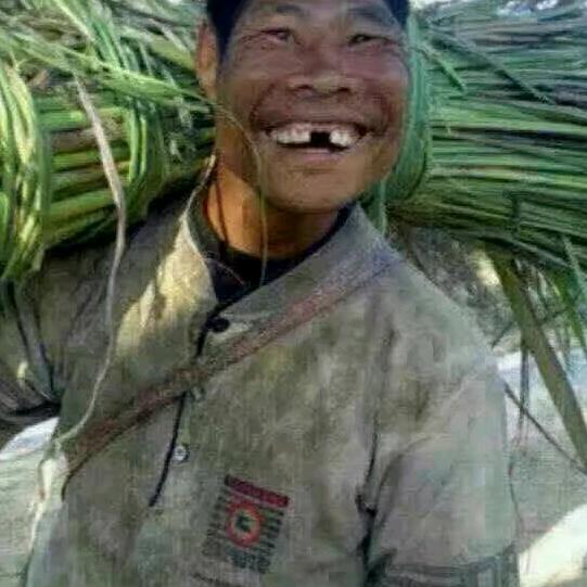 修理地球人