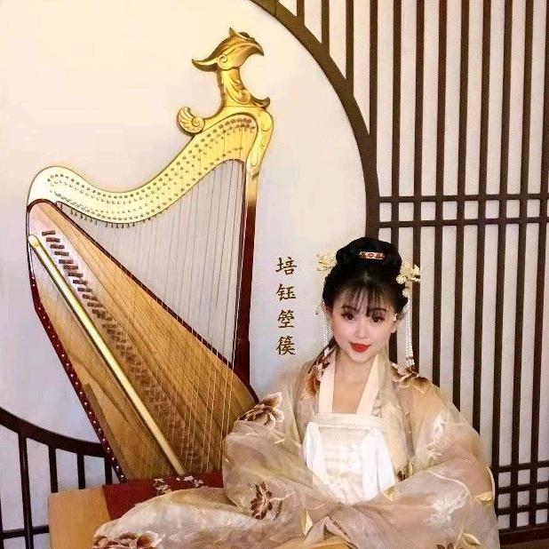 培钰箜篌