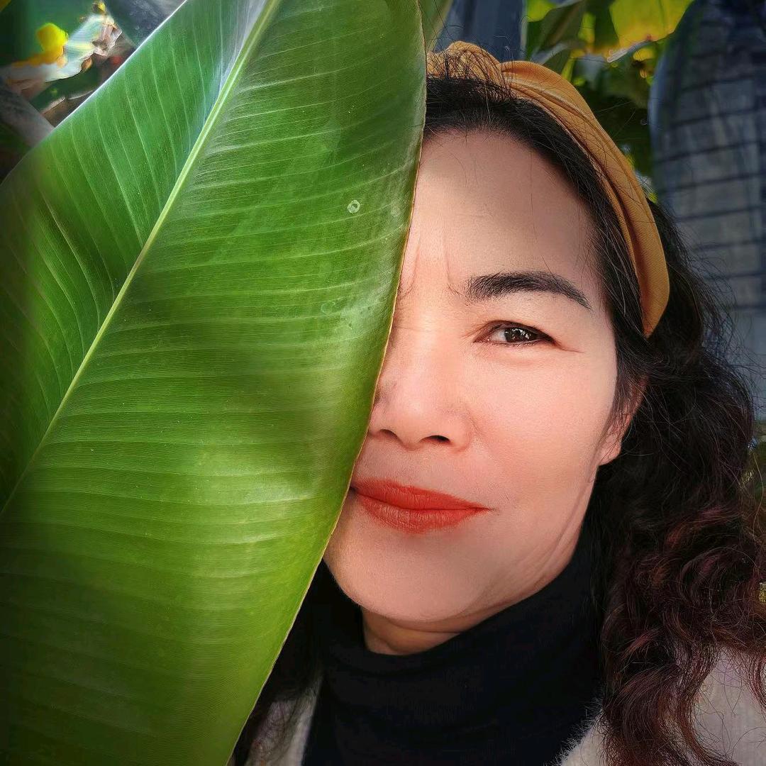 遮乡贡米(允午)