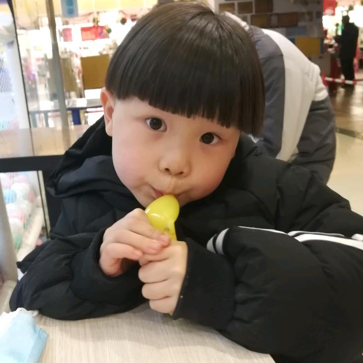 皮皮日常