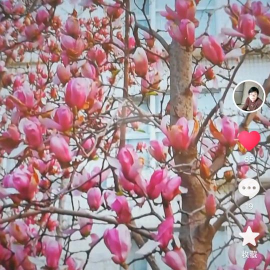 董爱华