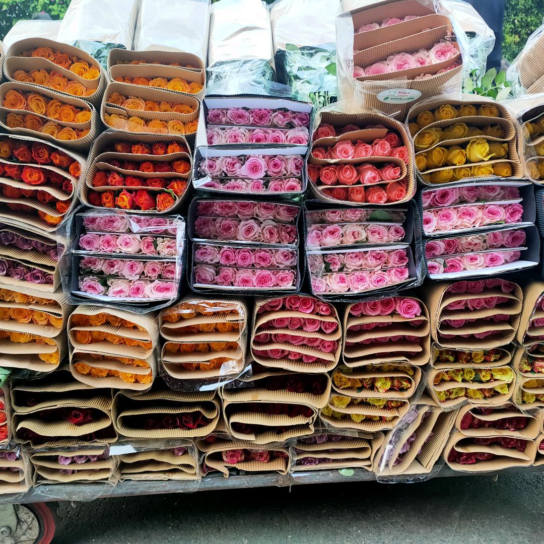 @小唐和(他)的花