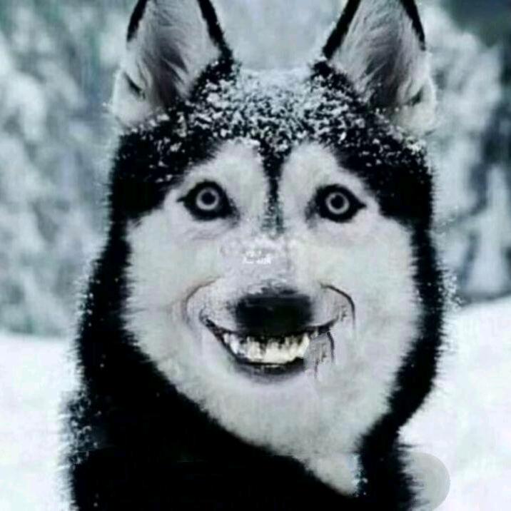 李雪鹏