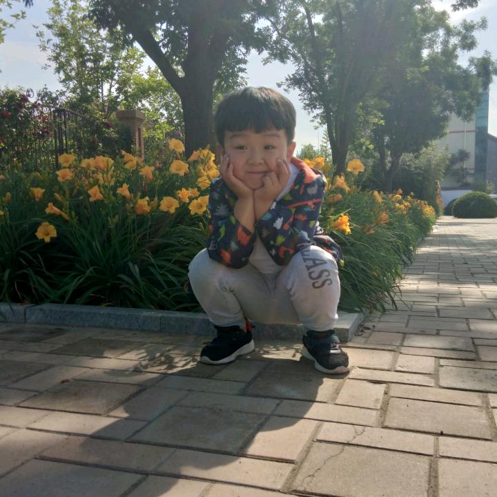 白雪松(麻核桃.土蜂养殖)