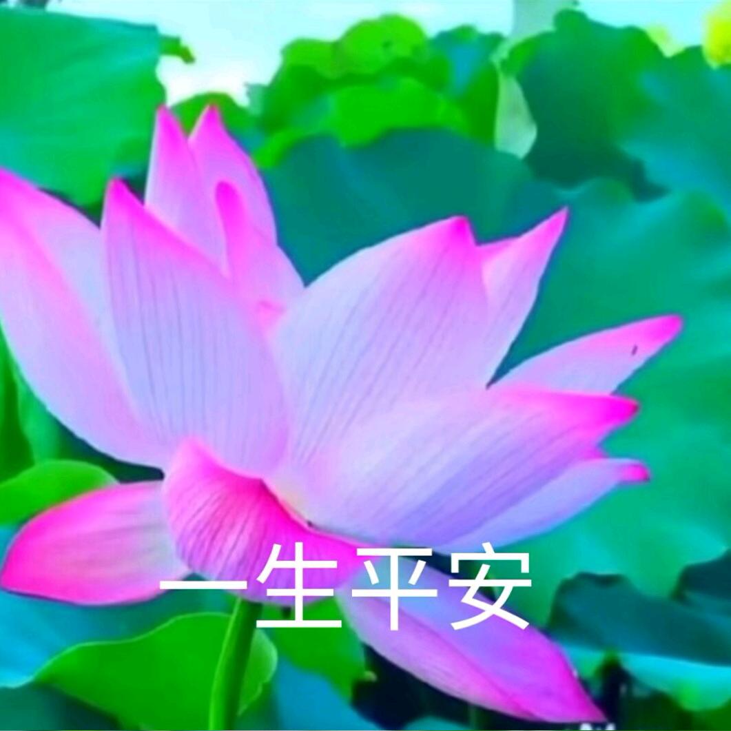 顺心