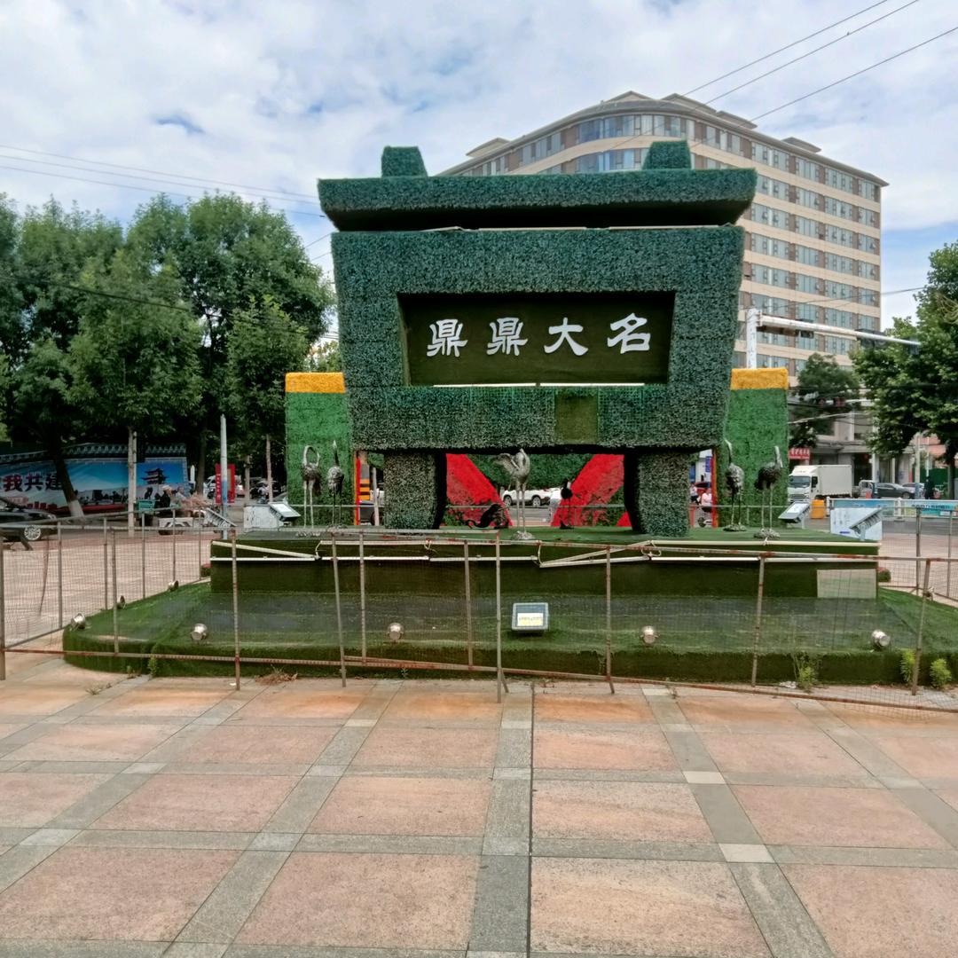 会飞的小鸟