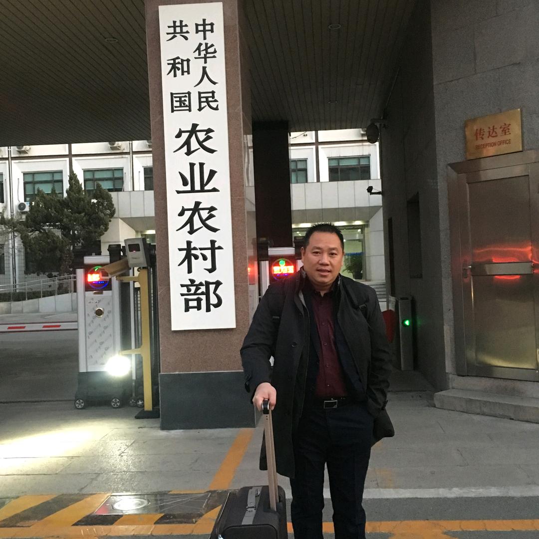龙丰果业甄选