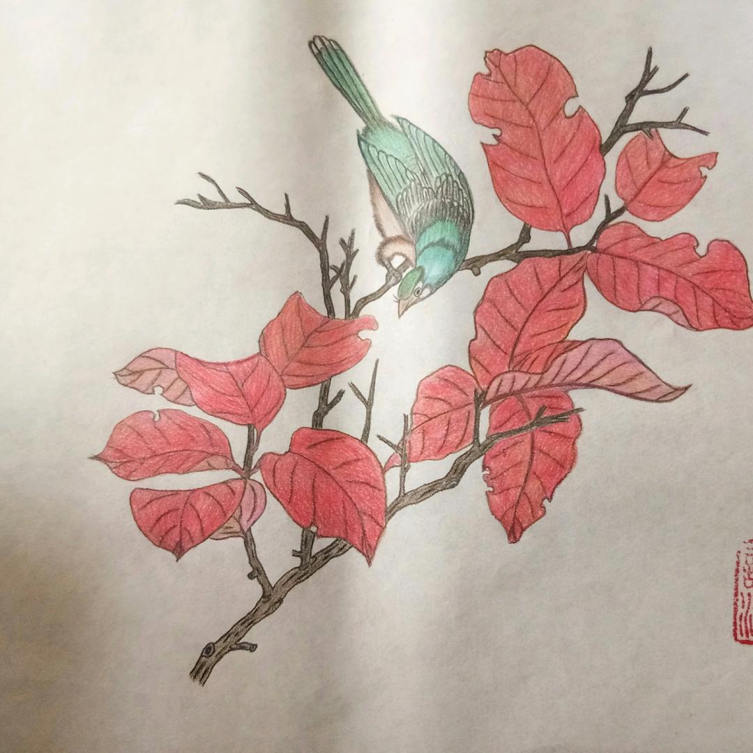 沐.白