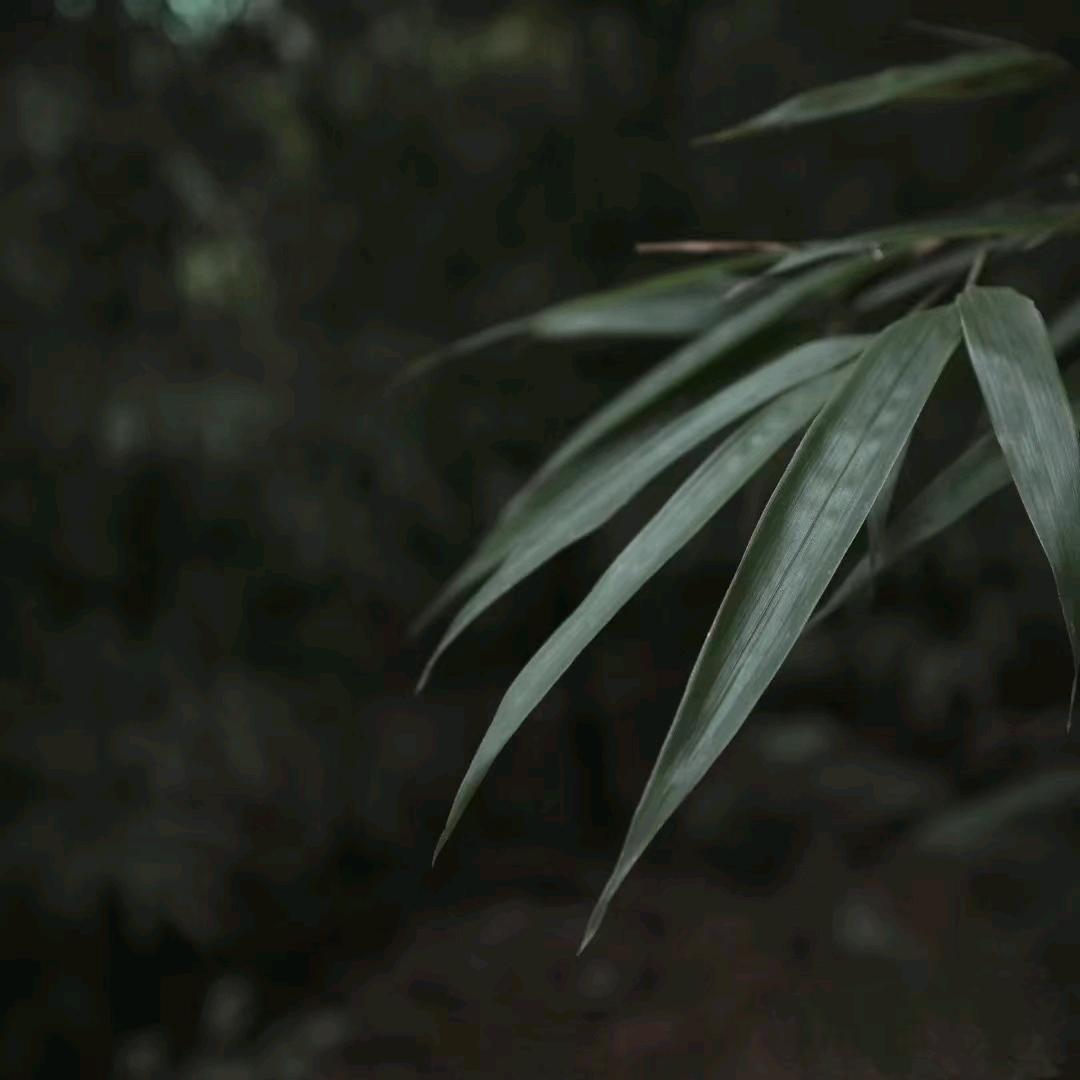 乐清浩宇印刷包装设备