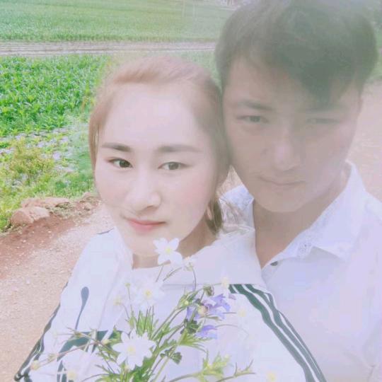 拖木草莓采摘园