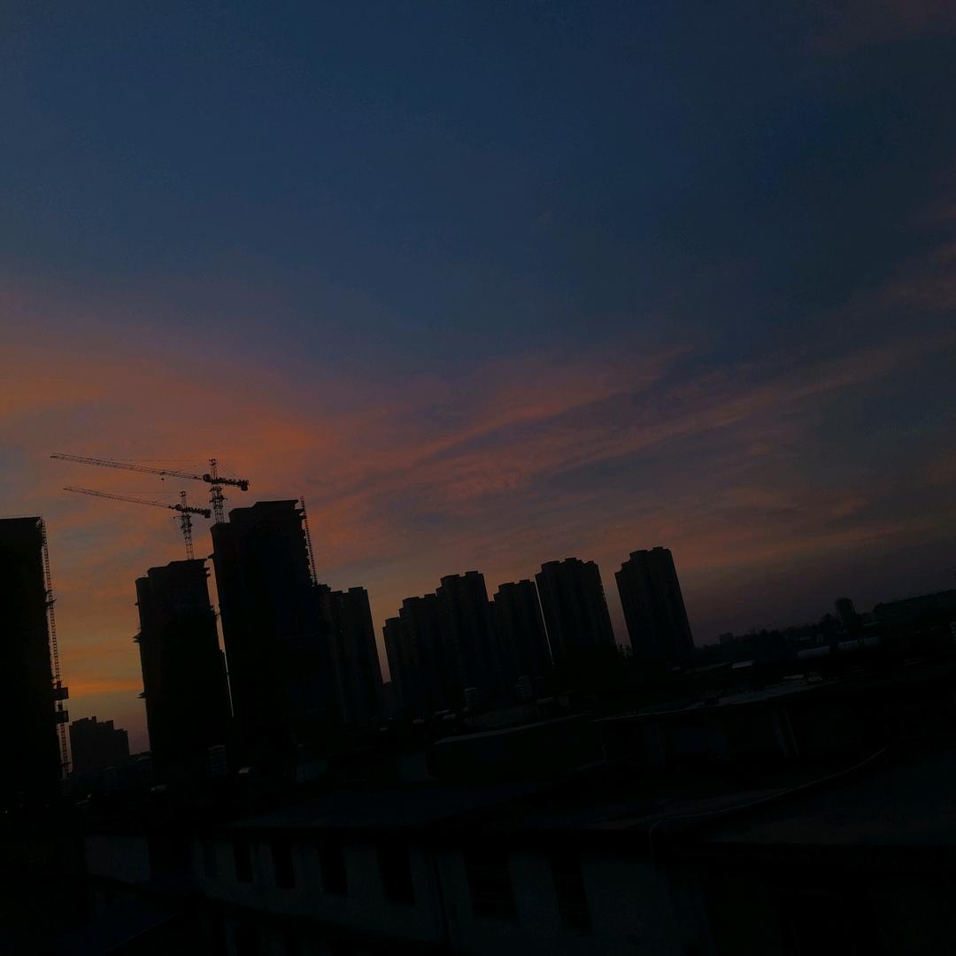 青春年华。