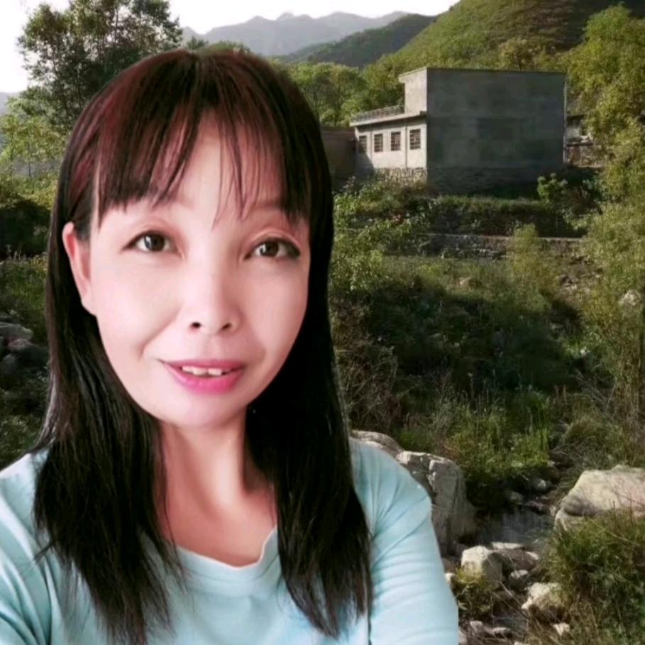 渭南王姐