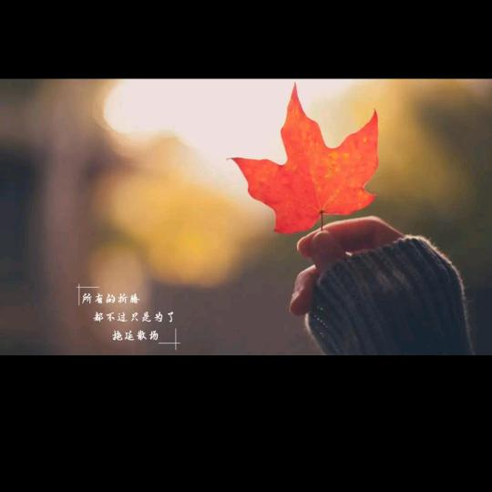 中和幼儿园祝艳