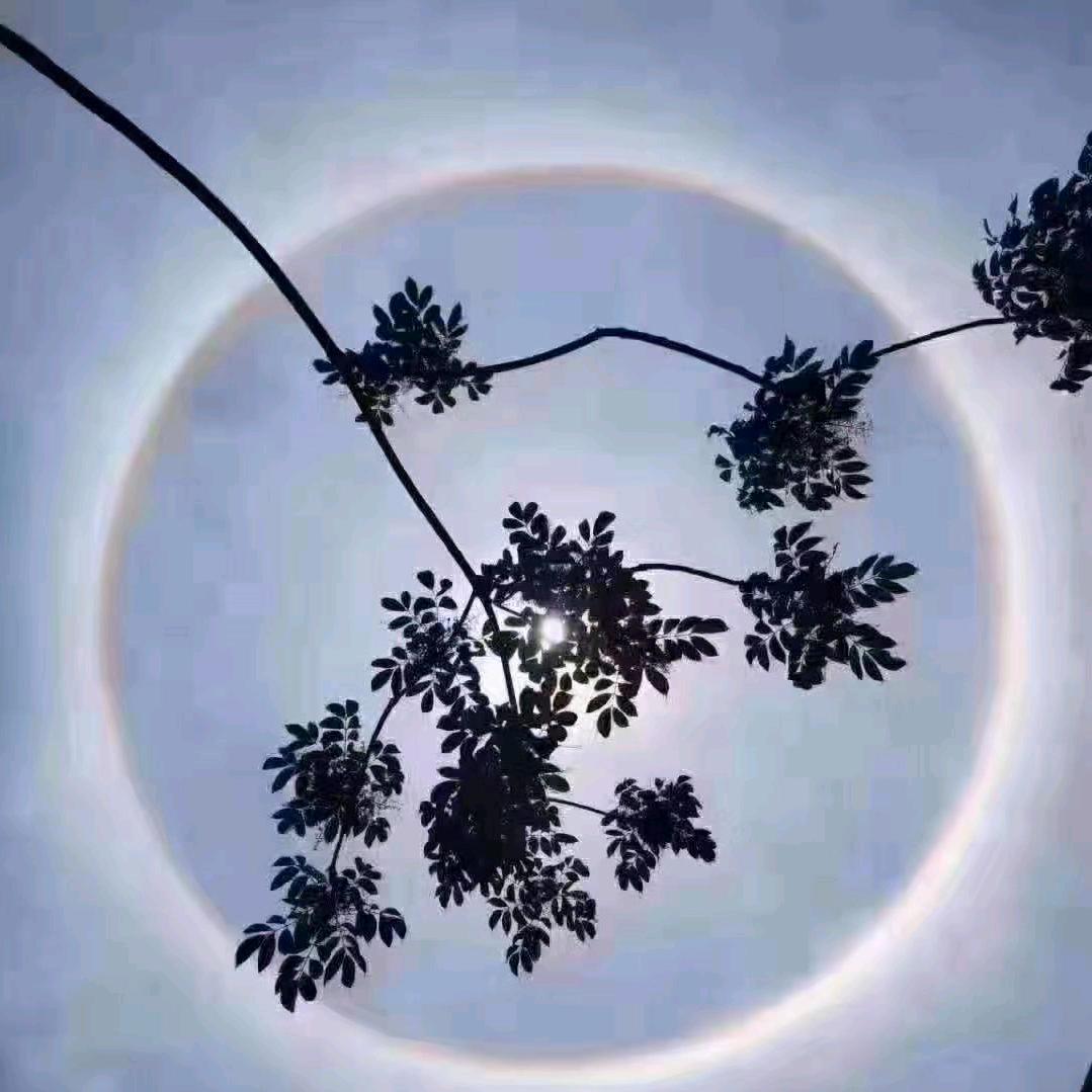 安逸