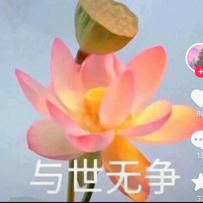 刘