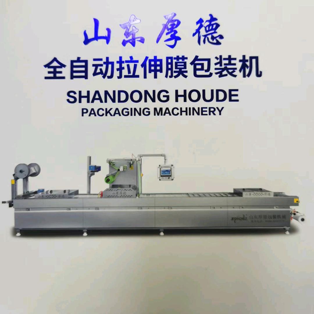全自动拉伸膜真空包装机山东厚德