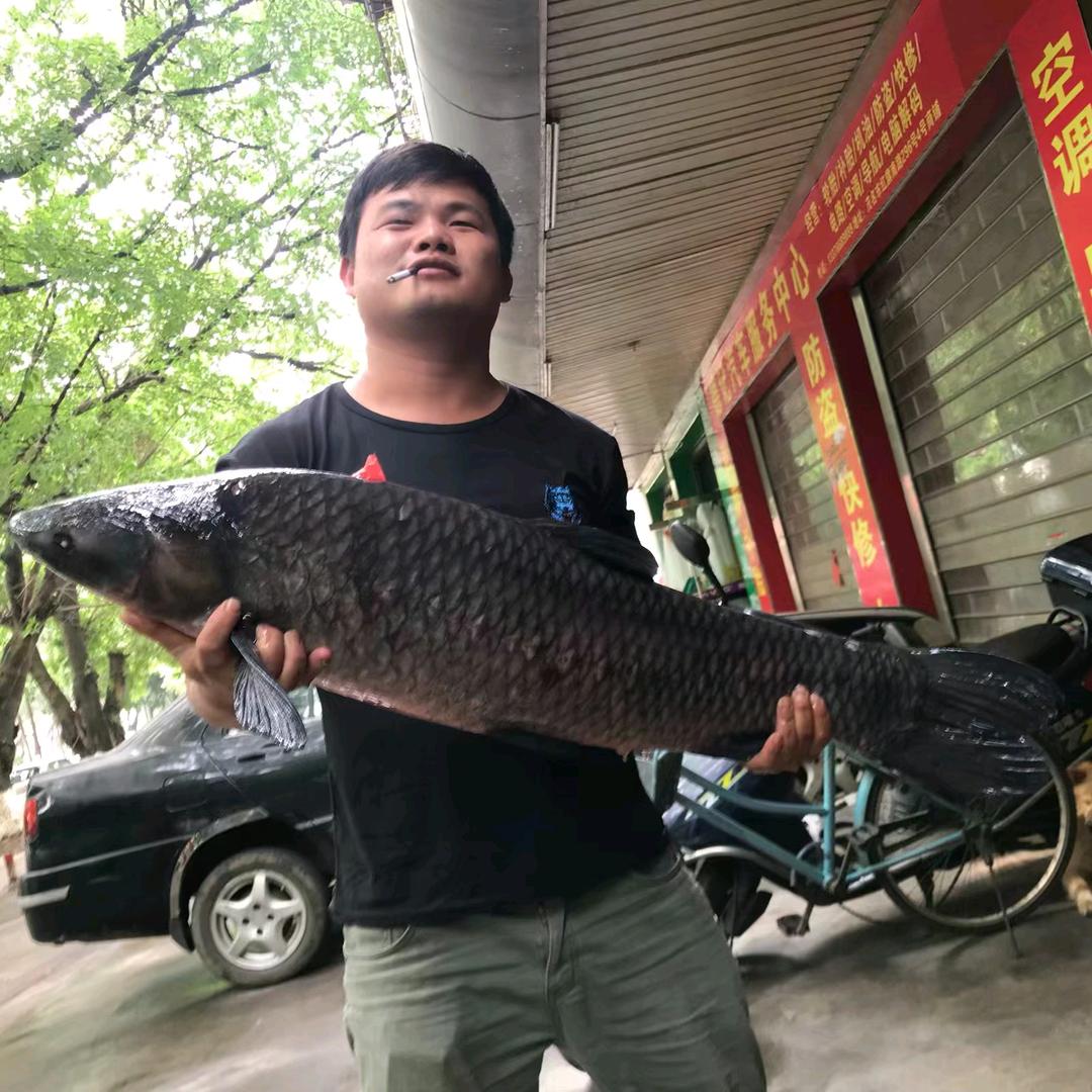 水产配送