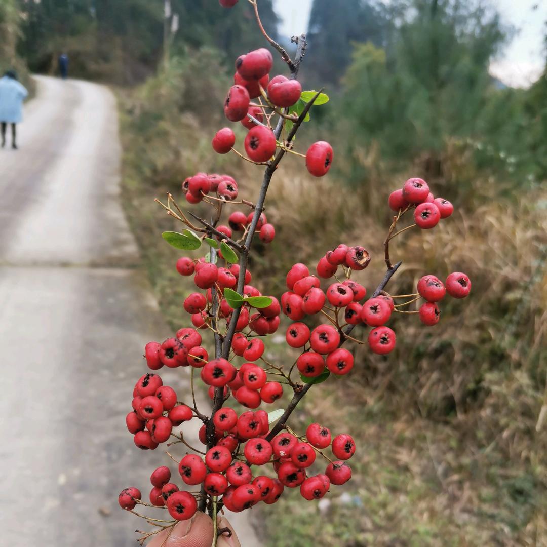 其实我心很软