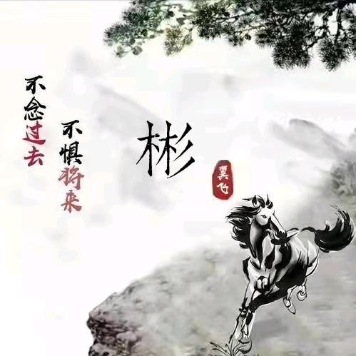 陪伴💕1314
