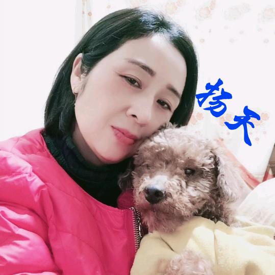扬天和流浪狗