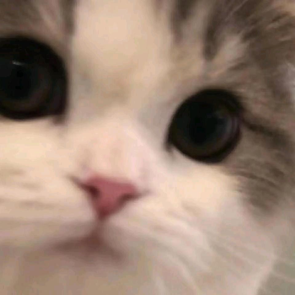 18被抓