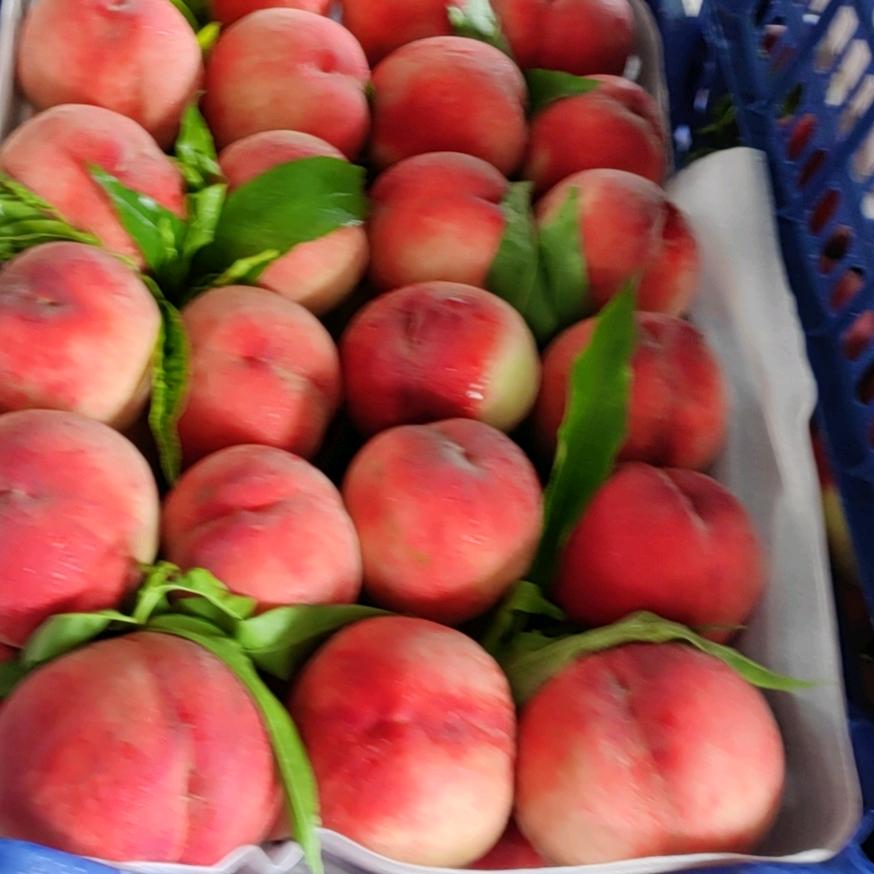 嘉兴小张常年代销，桃，柑橘类，石榴，葡萄