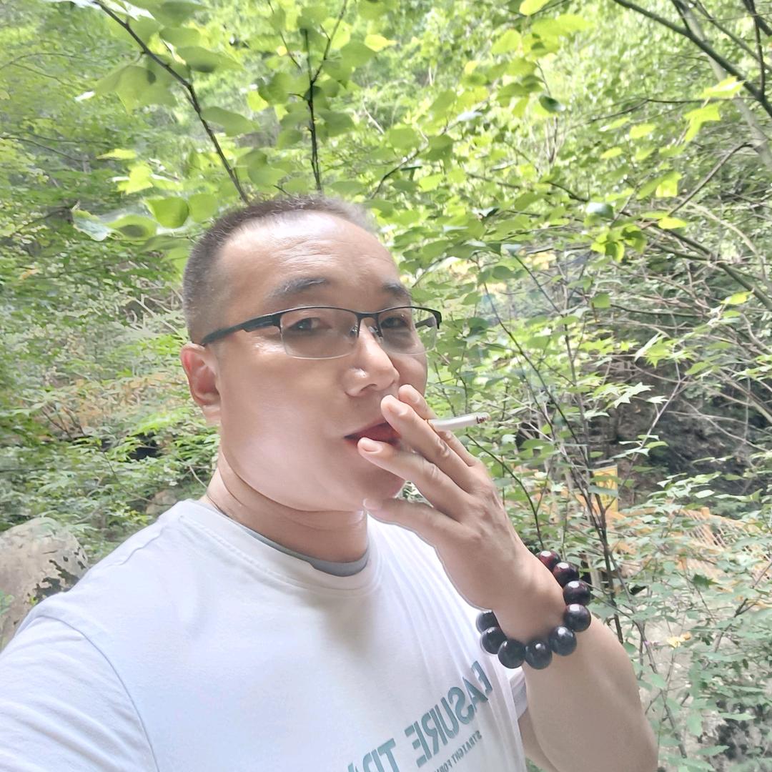 前行刺猬（国学正能）