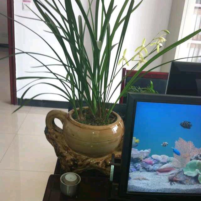 曾经沧海