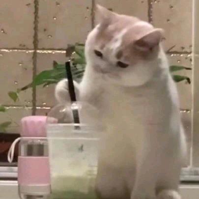 小申.