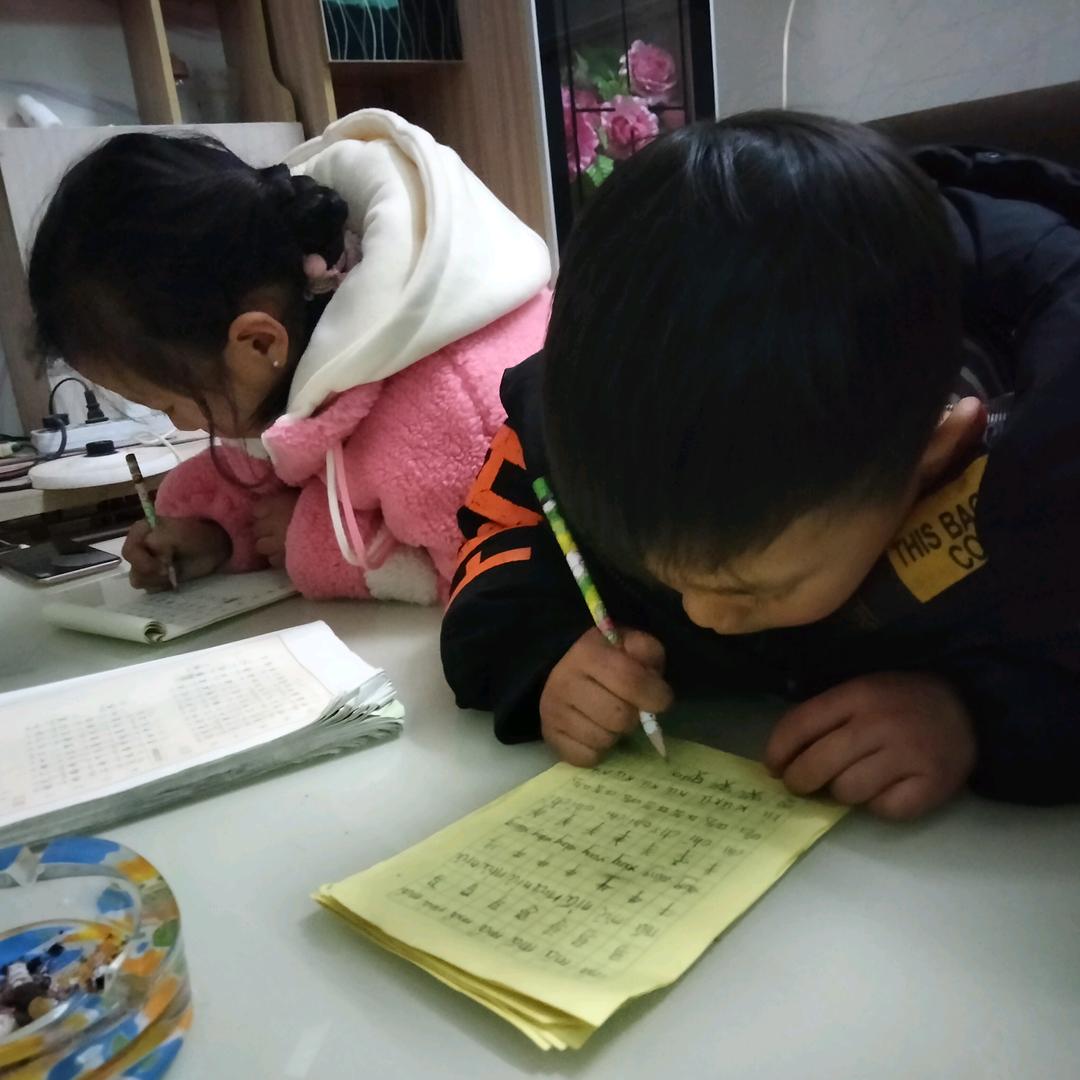 用户一帆凤顺