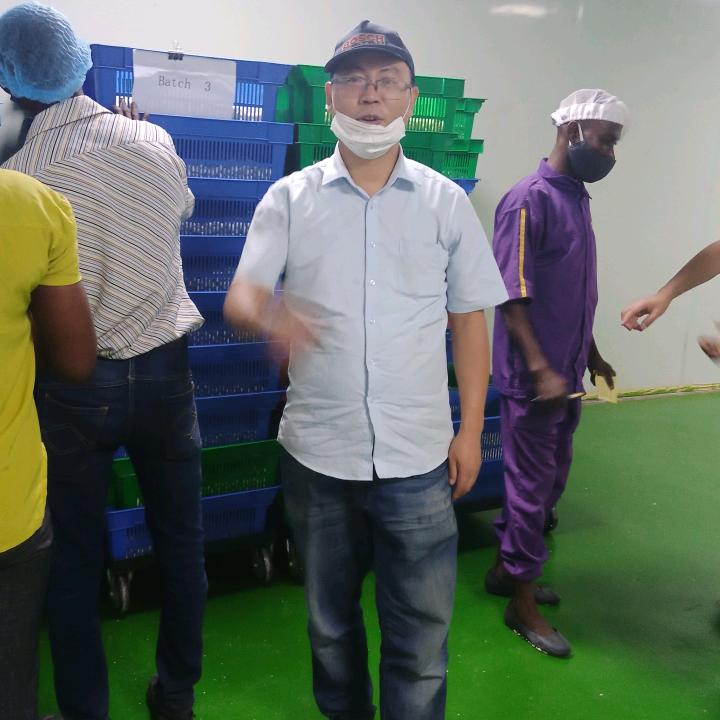 歌乌哎拐滋奥枣