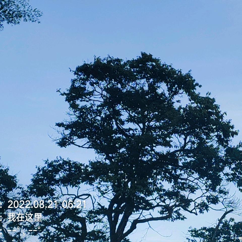 万万