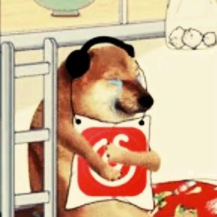 那year我十八          🪳