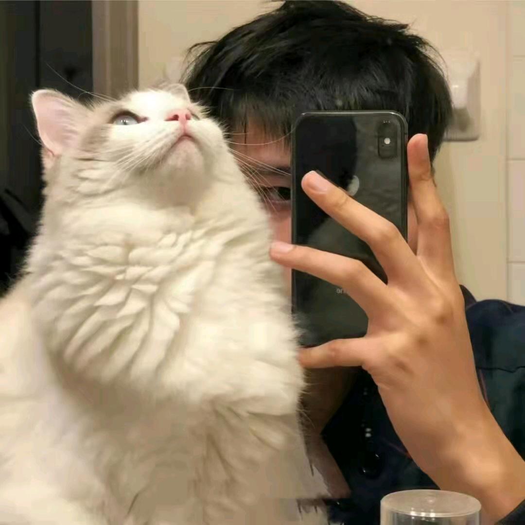 M⁹.