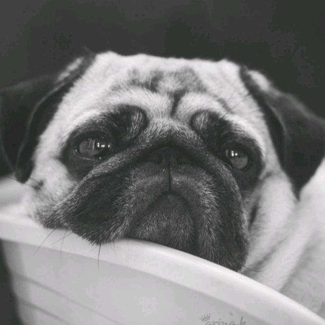 琦怪☞