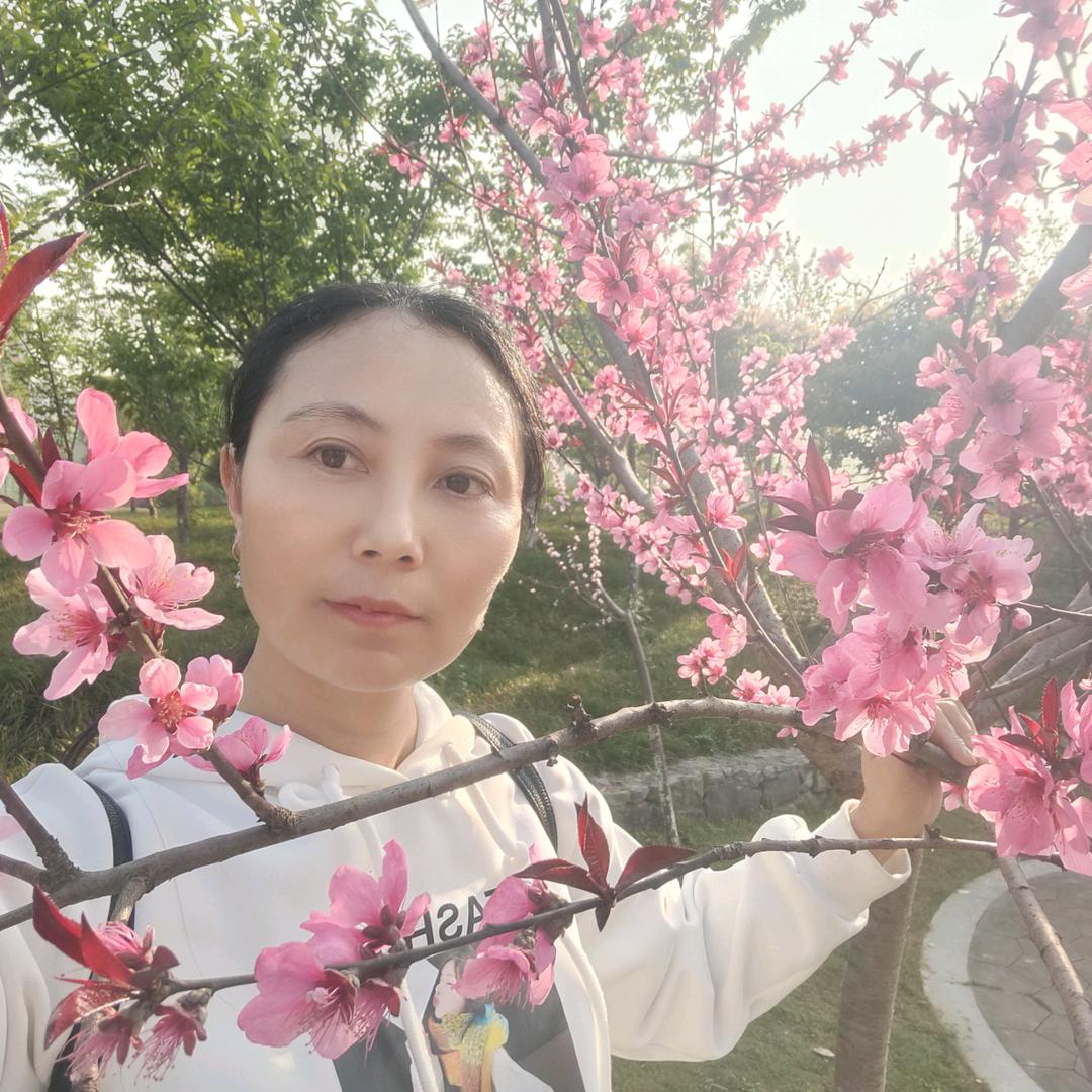 用户风中雨儿