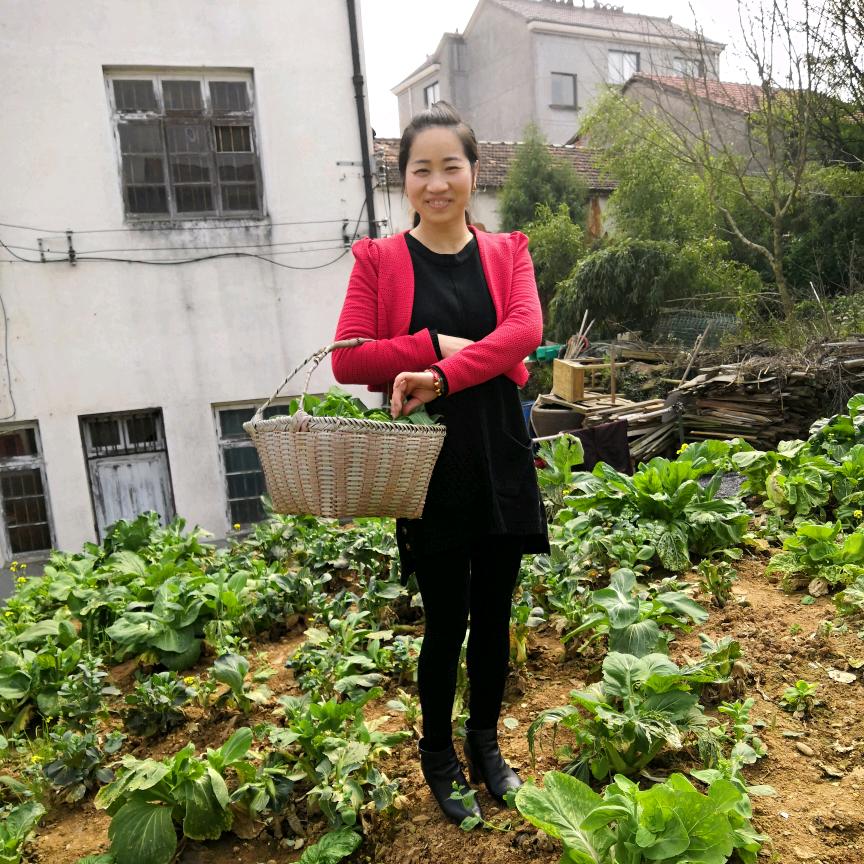 晨姐电子商务行